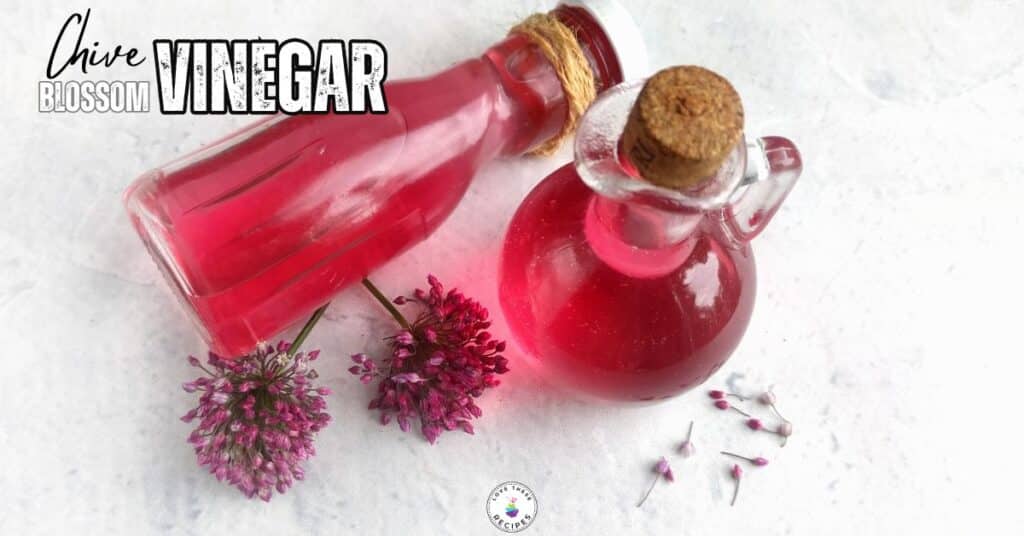 chive blossom vinegar