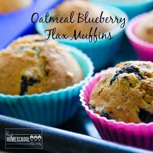 Oatmeal Blueberry Flax Muffins