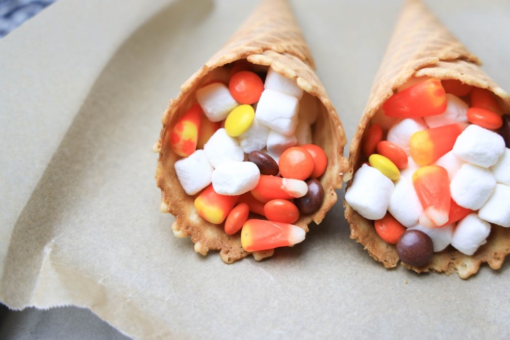 fall campfire cones - not yet grilled
