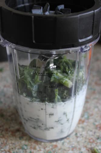 milk and kale in a blender