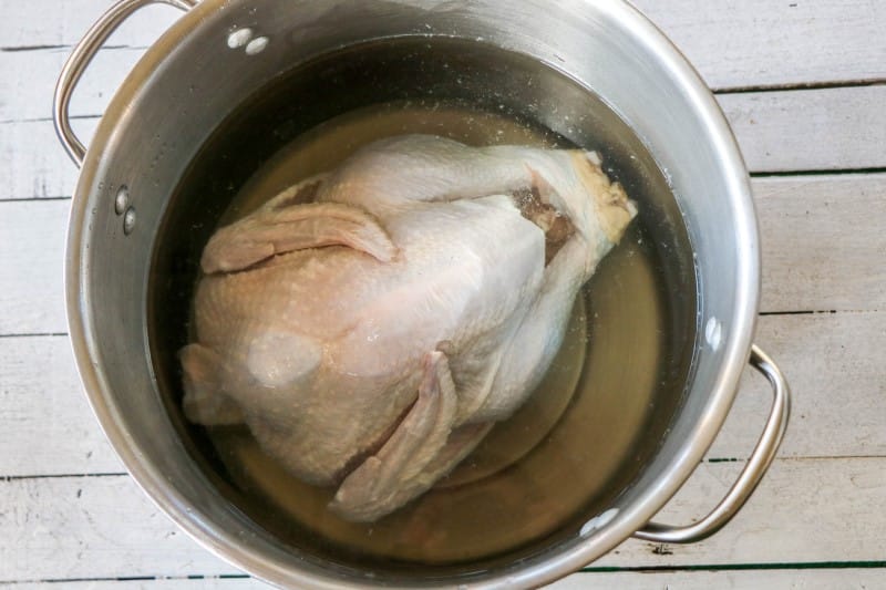brined turkey recipe - turkey soaking in salt water
