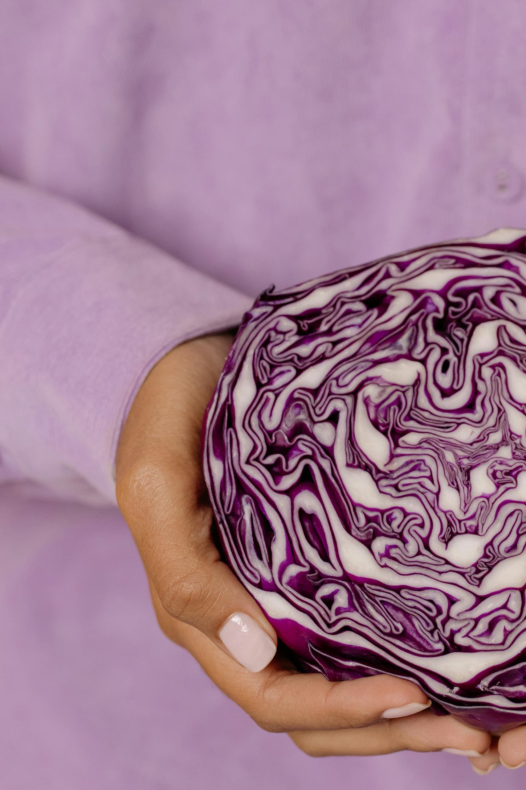 A close-up view of a hand holding a vibrant sliced purple cabbage against a lilac background.